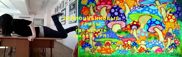 mdma Инсар