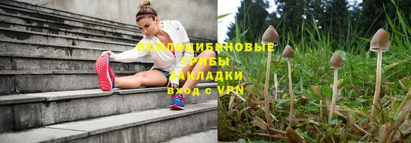 соль ск Иннополис