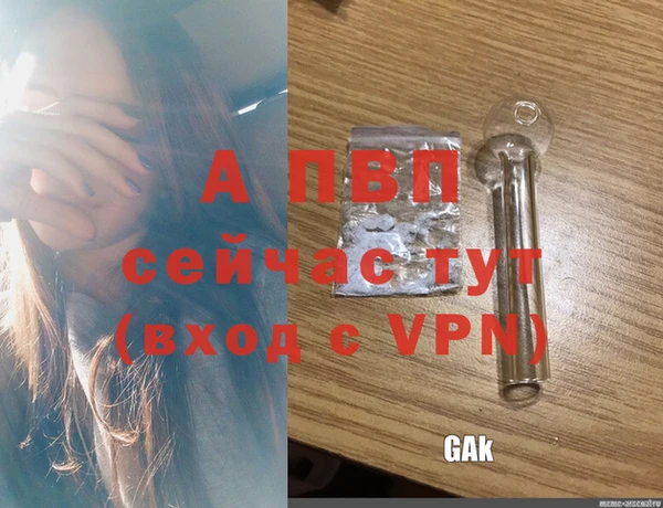 соль ск Иннополис
