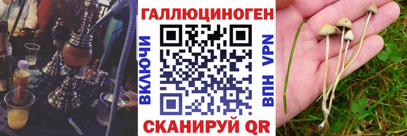 Псилоцибиновые грибы ЛСД  Купить  Магадан 